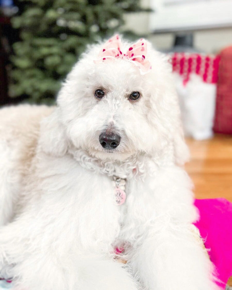 Pink & Black Tulle Hearts Bows