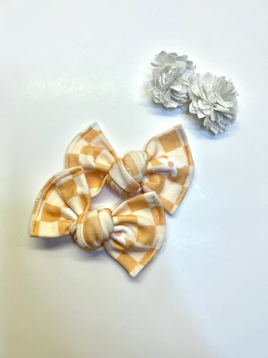 Orange Checkered Daisies