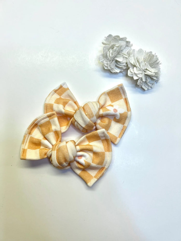 Orange Checkered Daisies