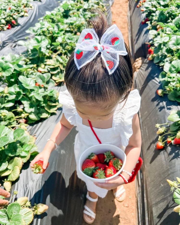 Strawberry Tulle Bows