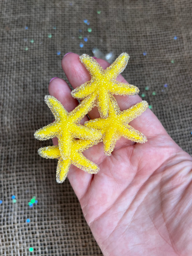 Frosted Starfish Clip Set