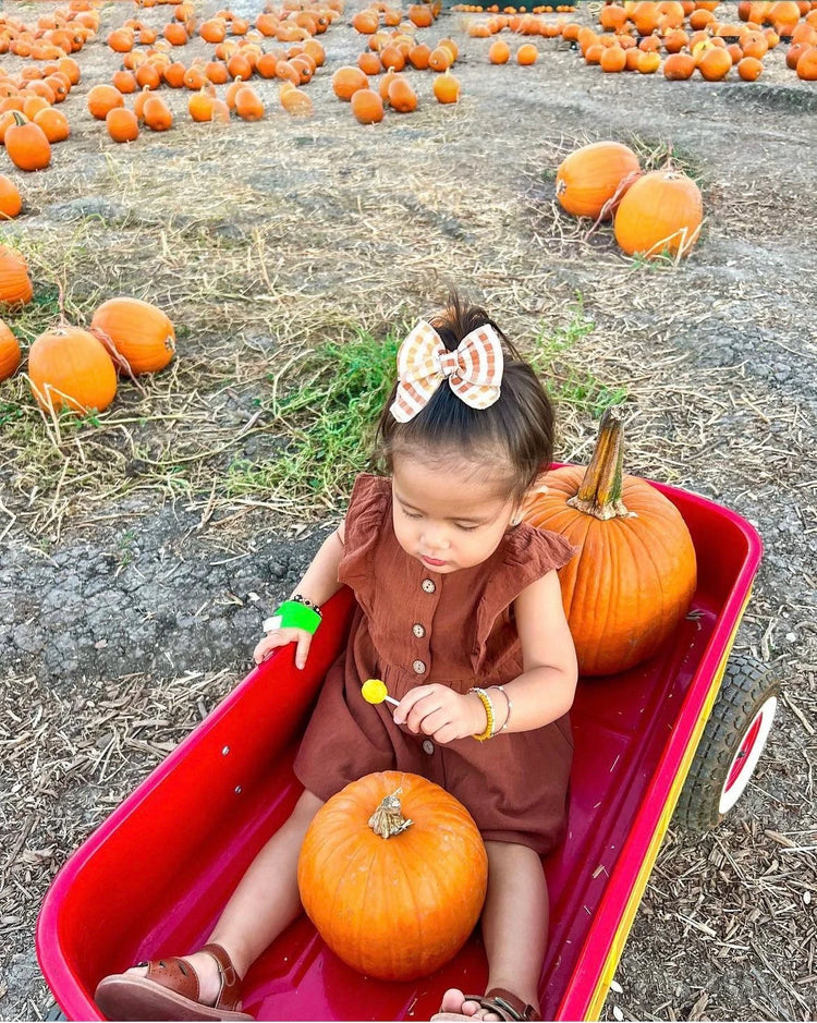 Harvest Plaid Bows